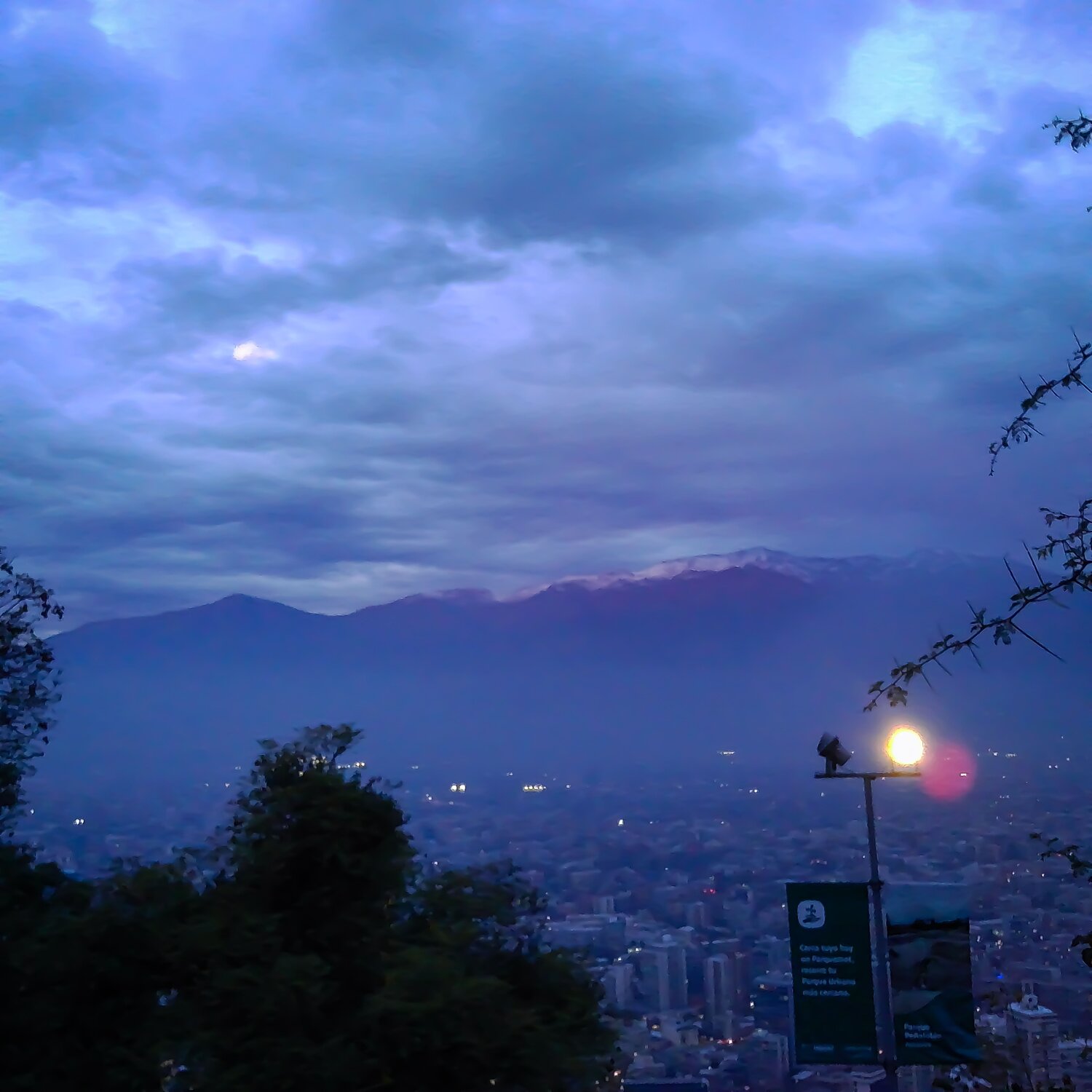 Photo #13804093