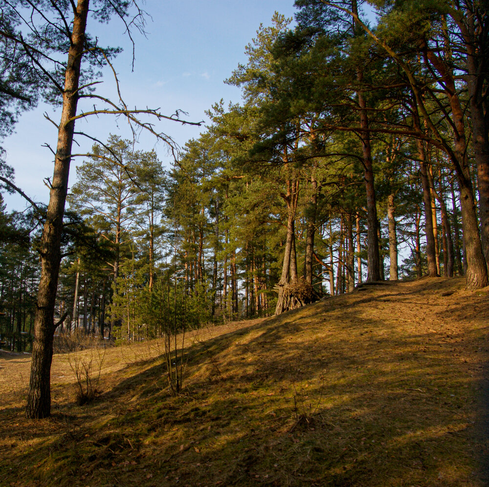 Photograph by Ирина Борисова