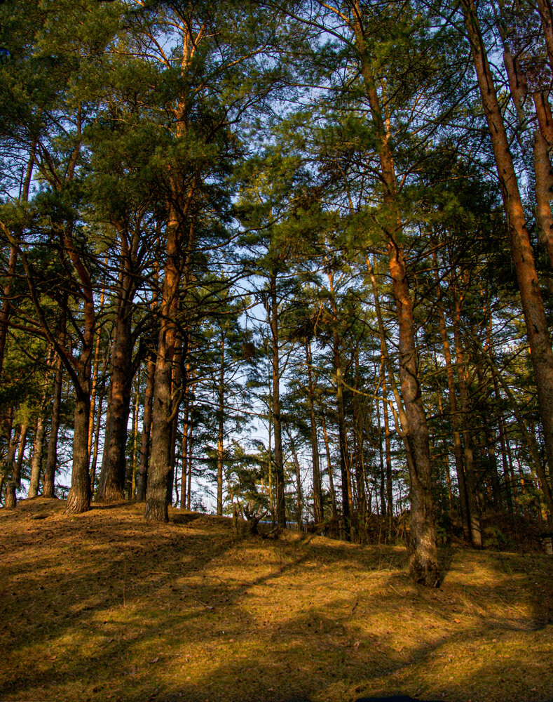 Photograph by Ирина Борисова