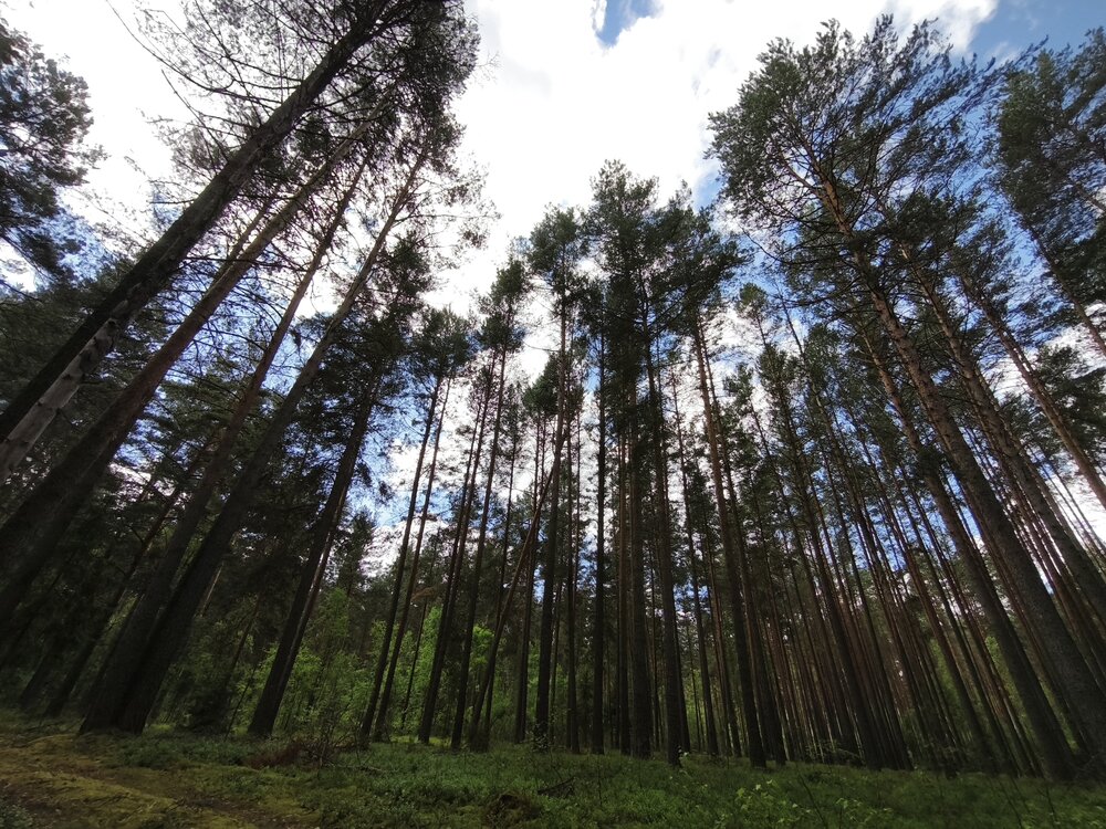 Photograph by Татьяна Алексеева