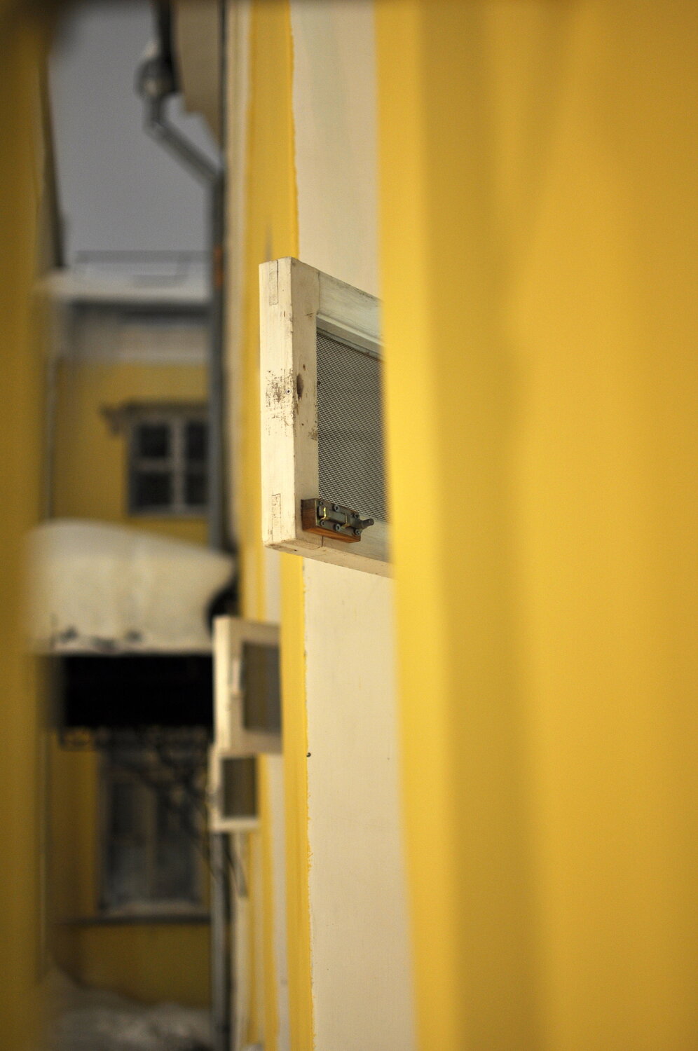 Photo #13804132