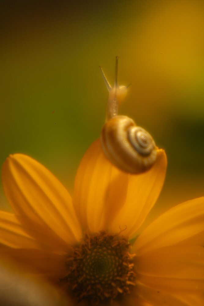 Photograph by Нелли Золотая