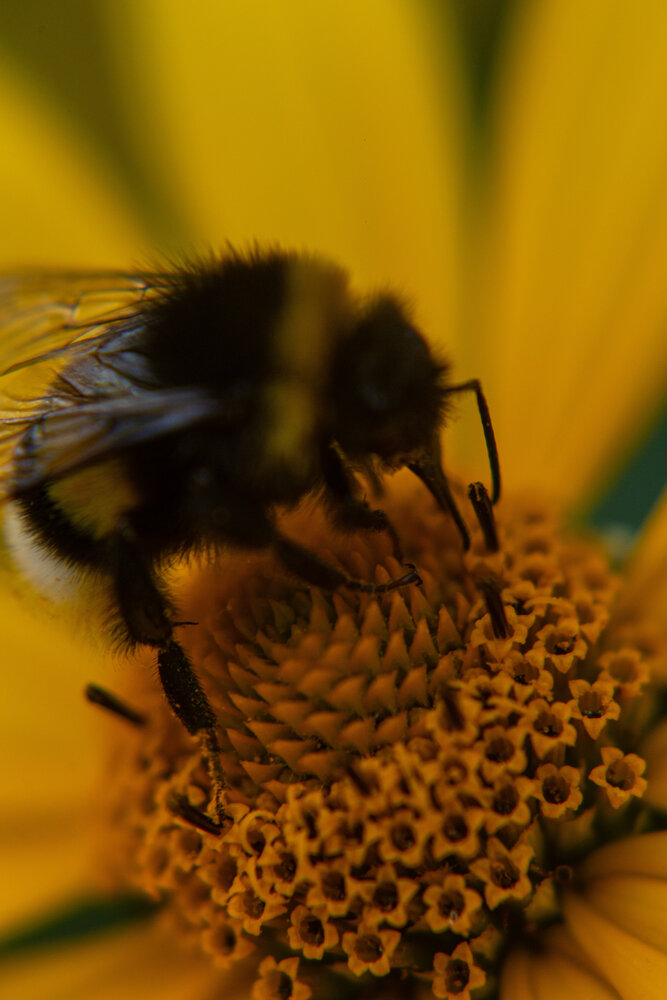 Photo #13804212