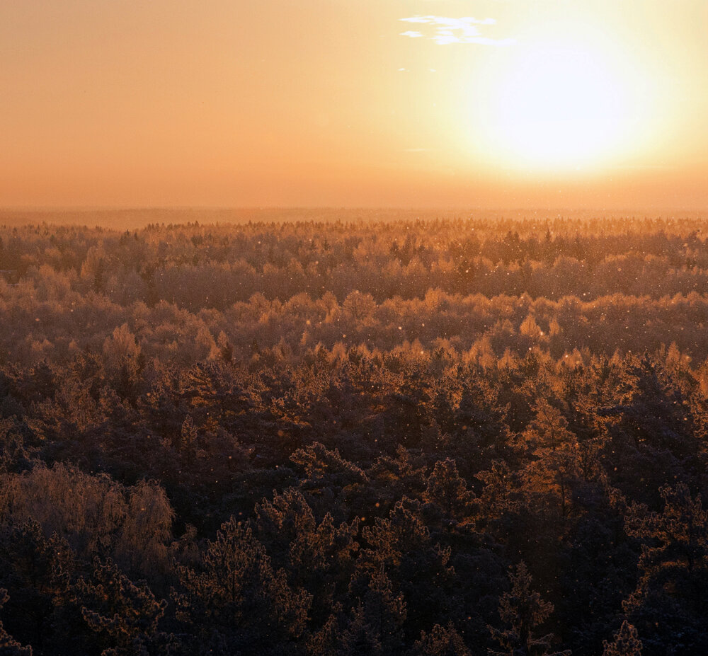 Photograph by Анна Акименко