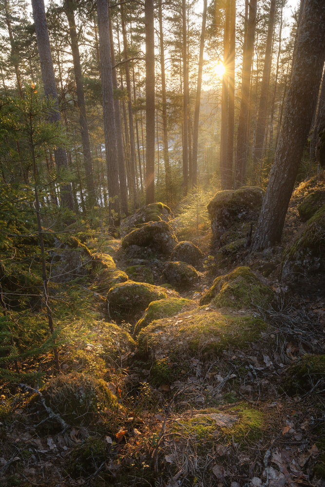Photograph by Ivan Glinskiy
