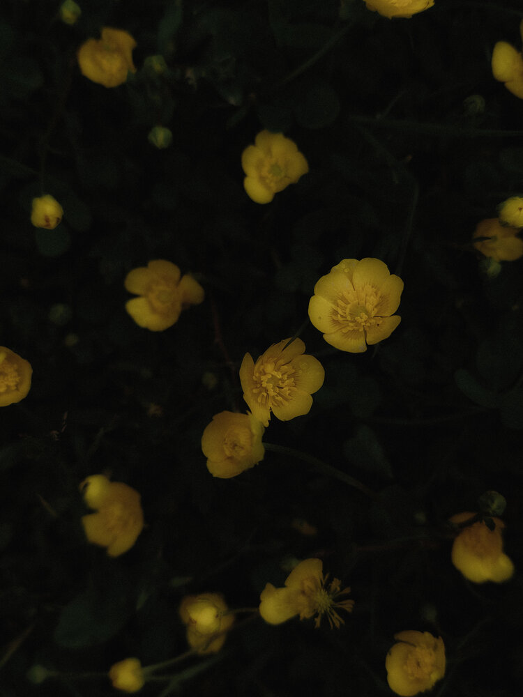 Photograph by Maria Stankevich
