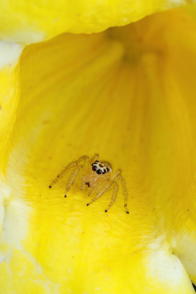 Photograph by Cassius Cardoso