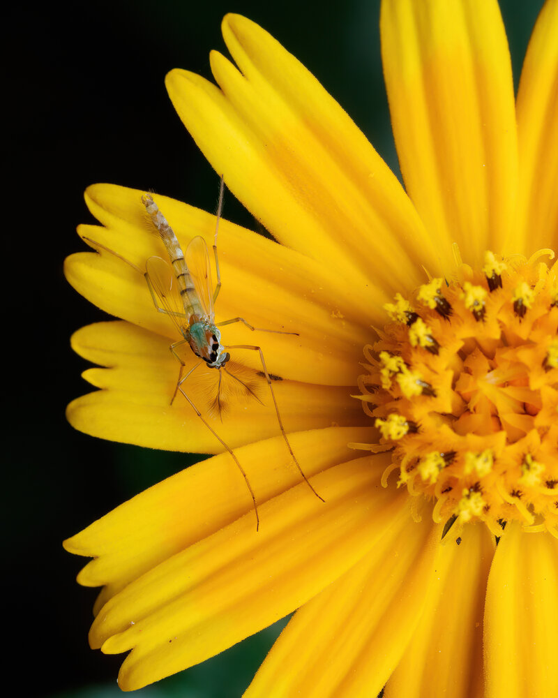 Photograph by Cassius Cardoso