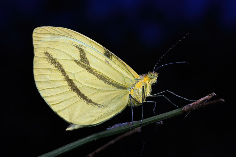 Photograph by Cassius Cardoso