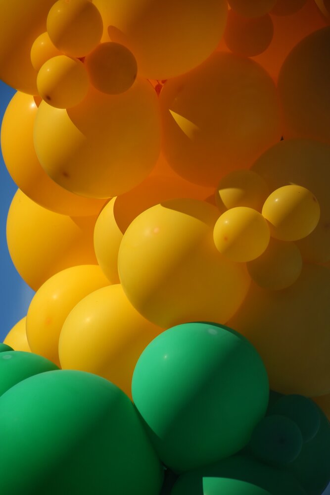 Photograph by Елена Хорошильцева