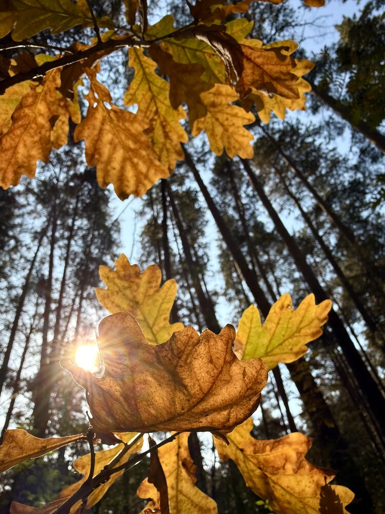Photograph by Татьяна