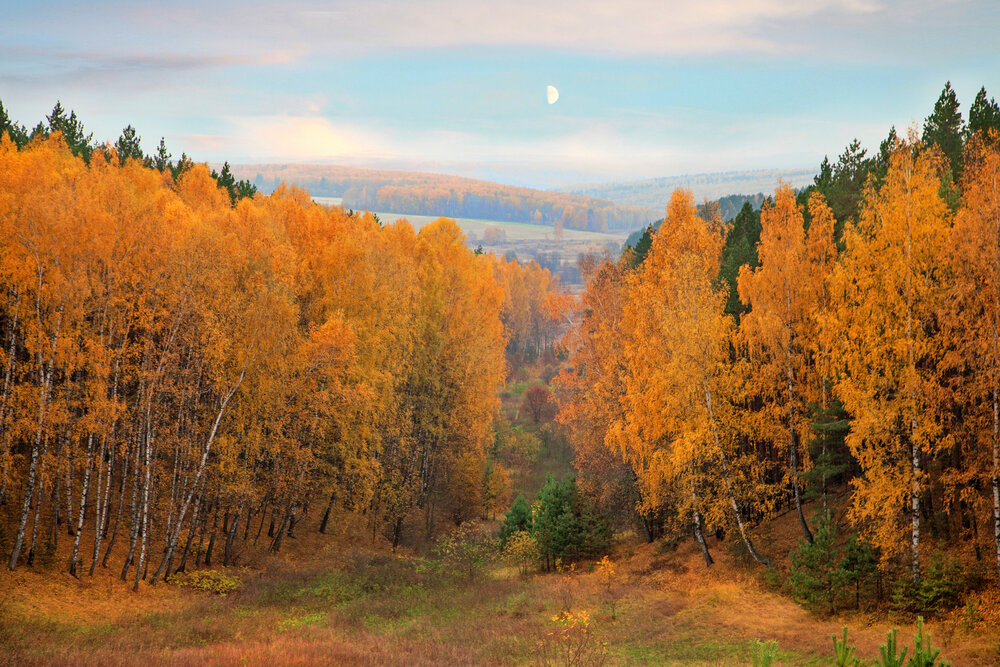Photo #13804473