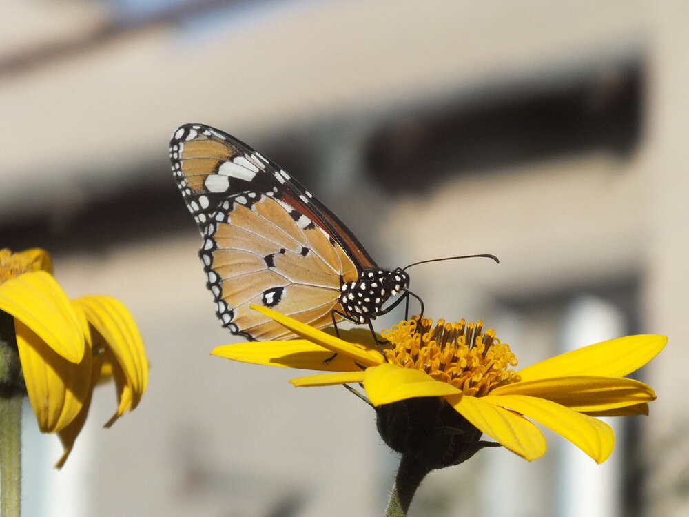 Photograph by Shavkat Tojiyev