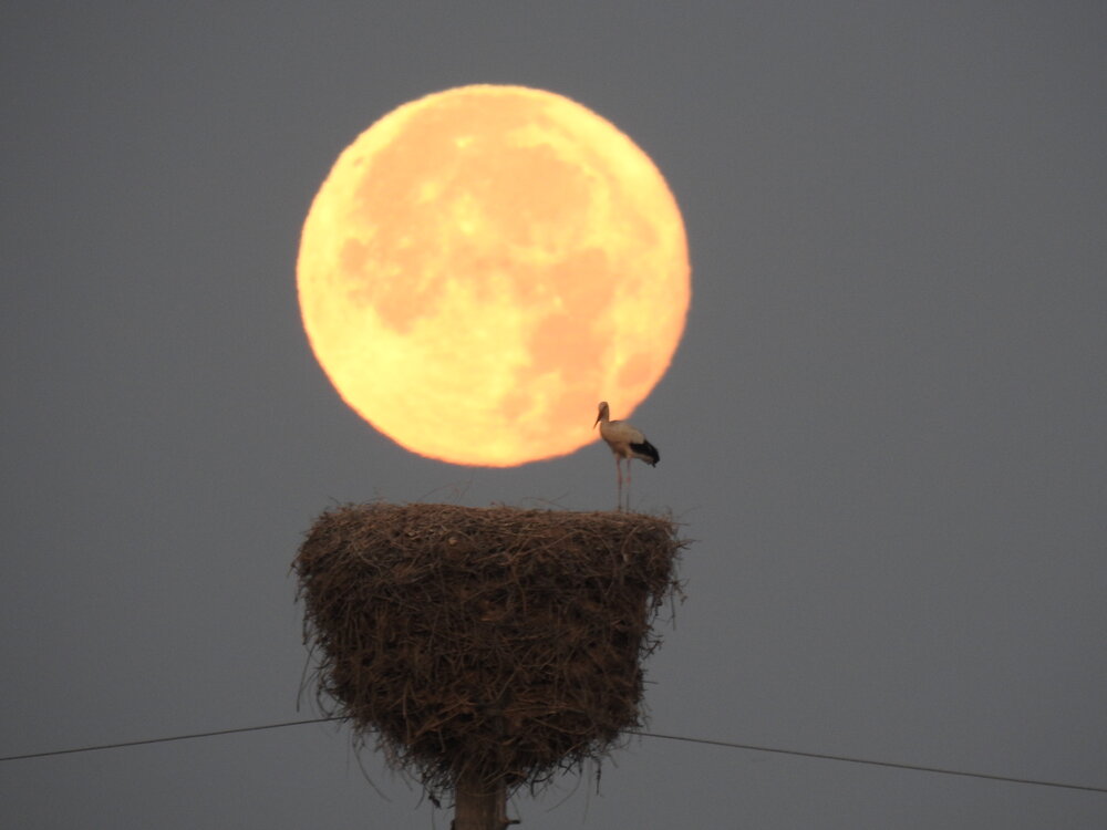 Photograph by Shavkat Tojiyev