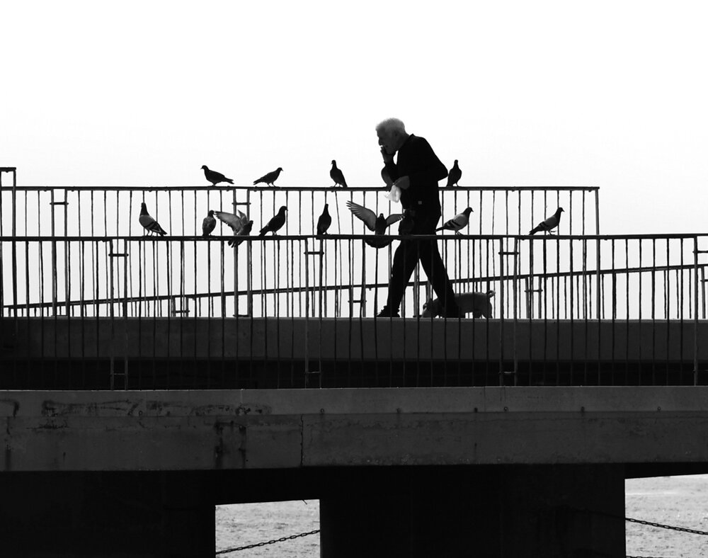 Photograph by Светлана Ханина
