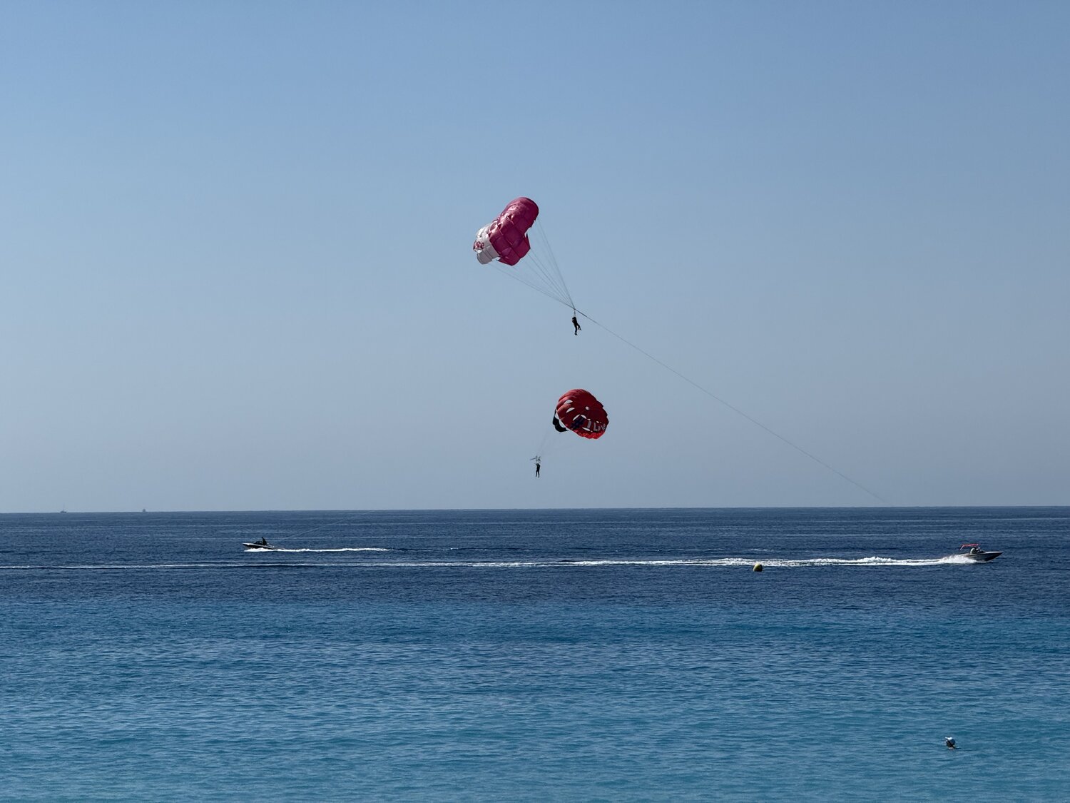 Photo #13804539