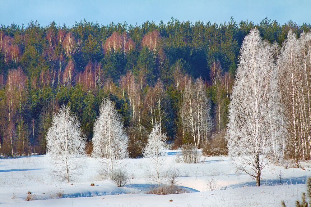 Photograph by Вячеслав Валентинович