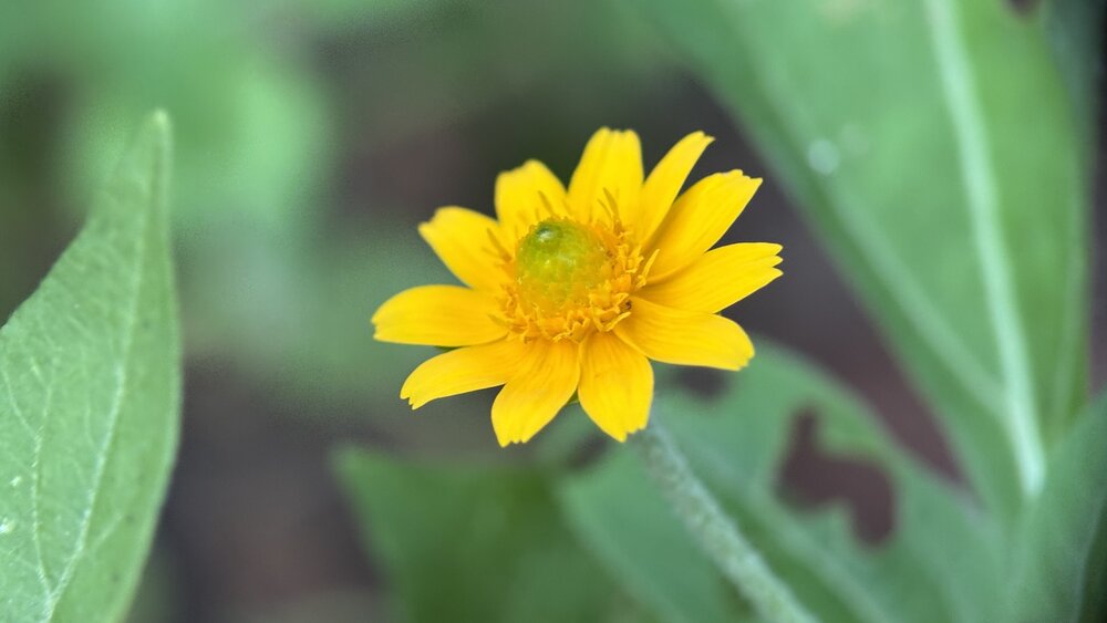 Photograph by Venu Peyyala