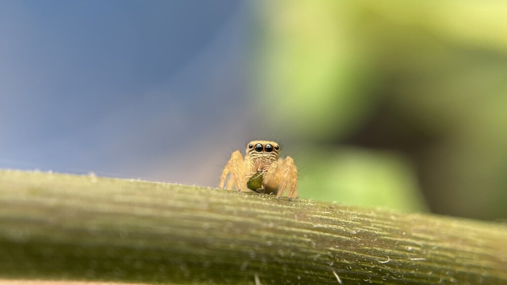 Photograph by Venu Peyyala