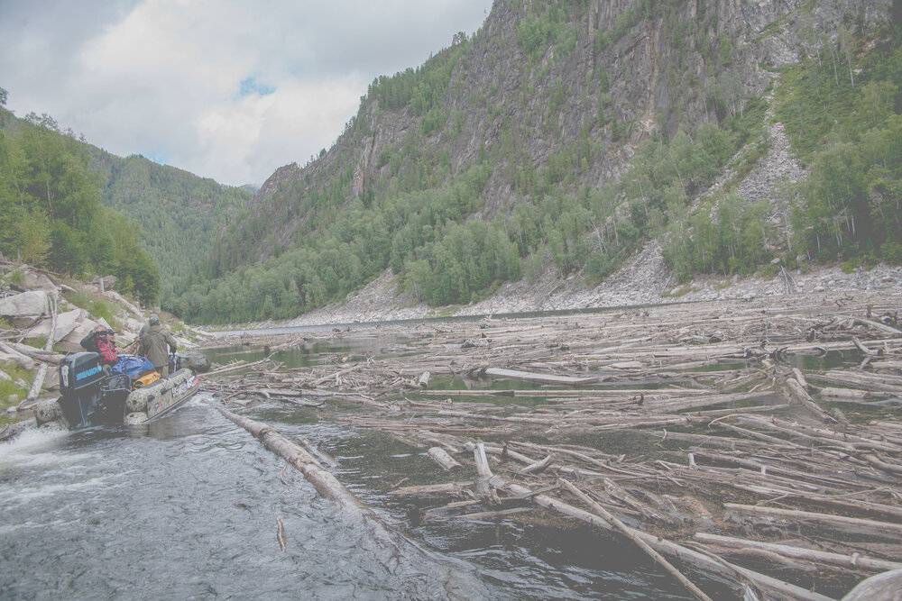 Photo #13804642