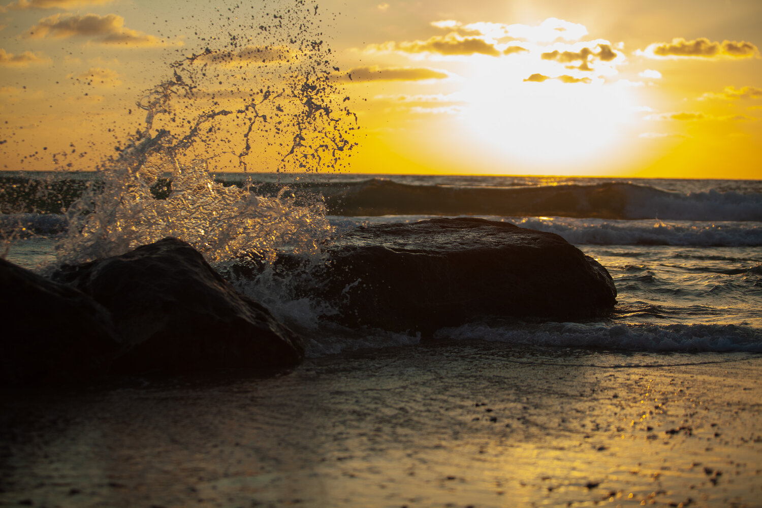 Photo #13804645