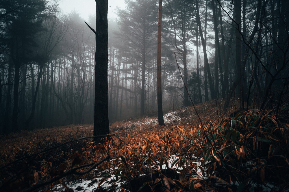 Photo #13804693
