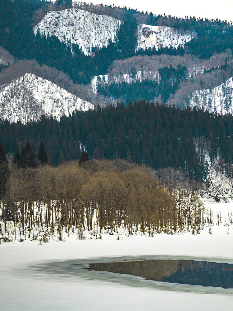 Photo #13804695