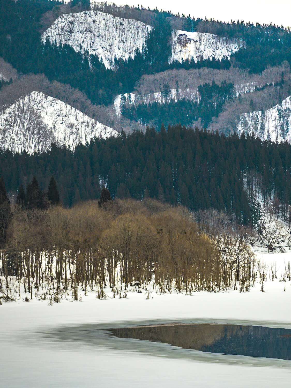 Photo #13804695