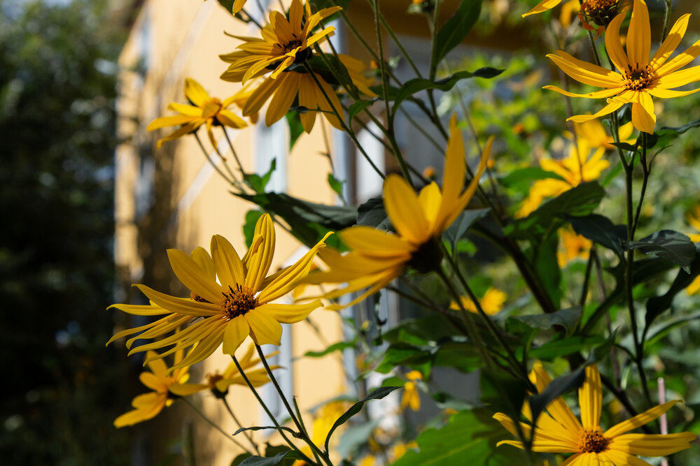 Photograph by Наталья Плотникова