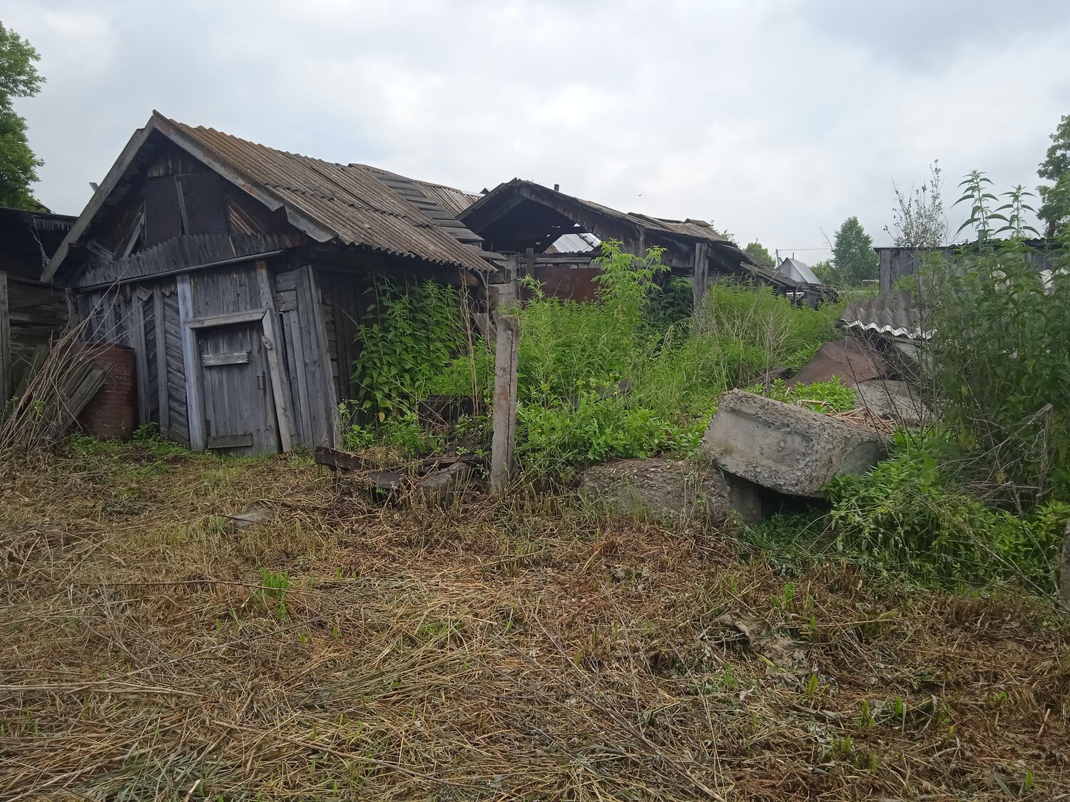 Photo #13804719