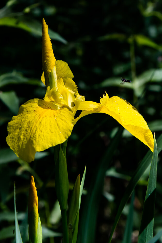 Photograph by Наталья Плотникова