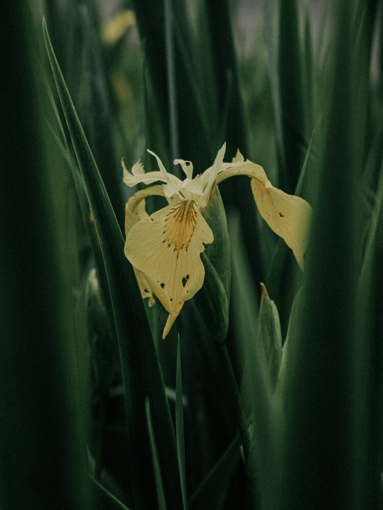 Photo #13804739