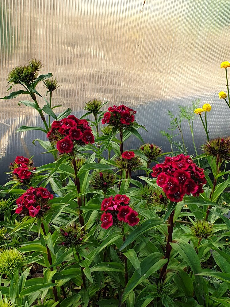 Photograph by Вера Цивенкова