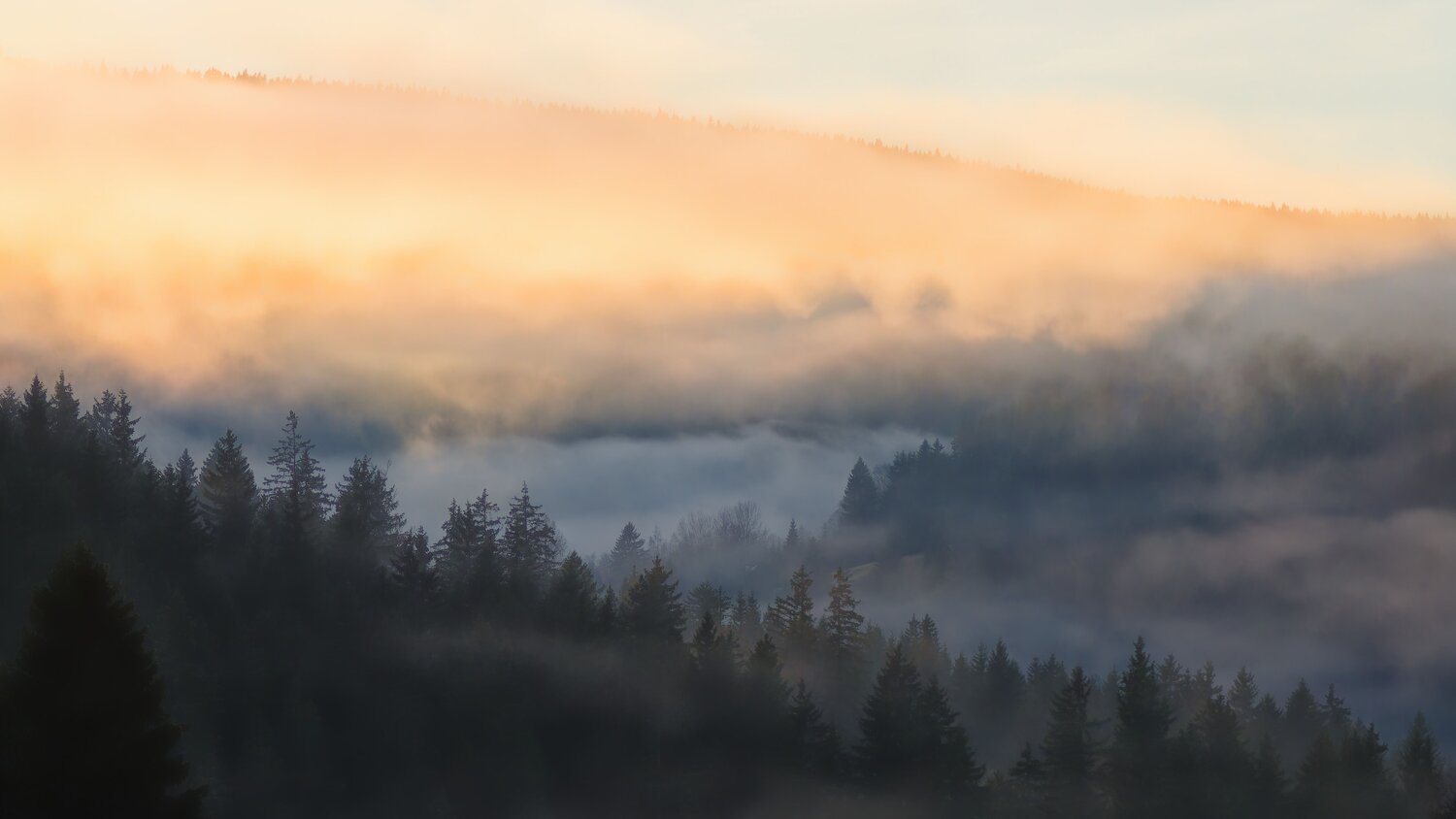 Photo #13804816