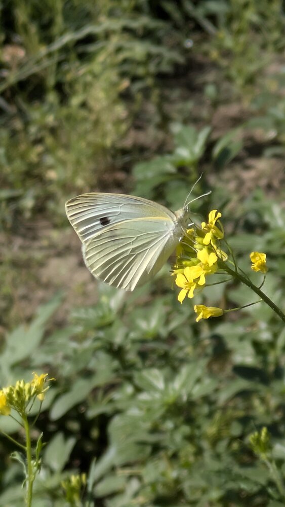 Photograph by Lilit Petrosyan