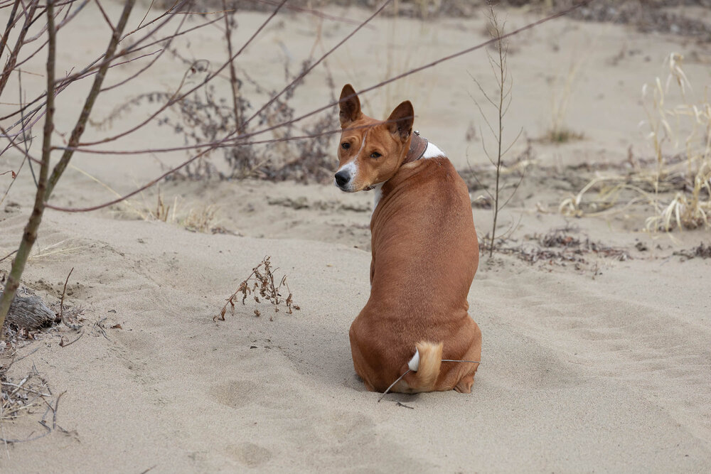 Photograph by YULIA SHAPOVALOVA