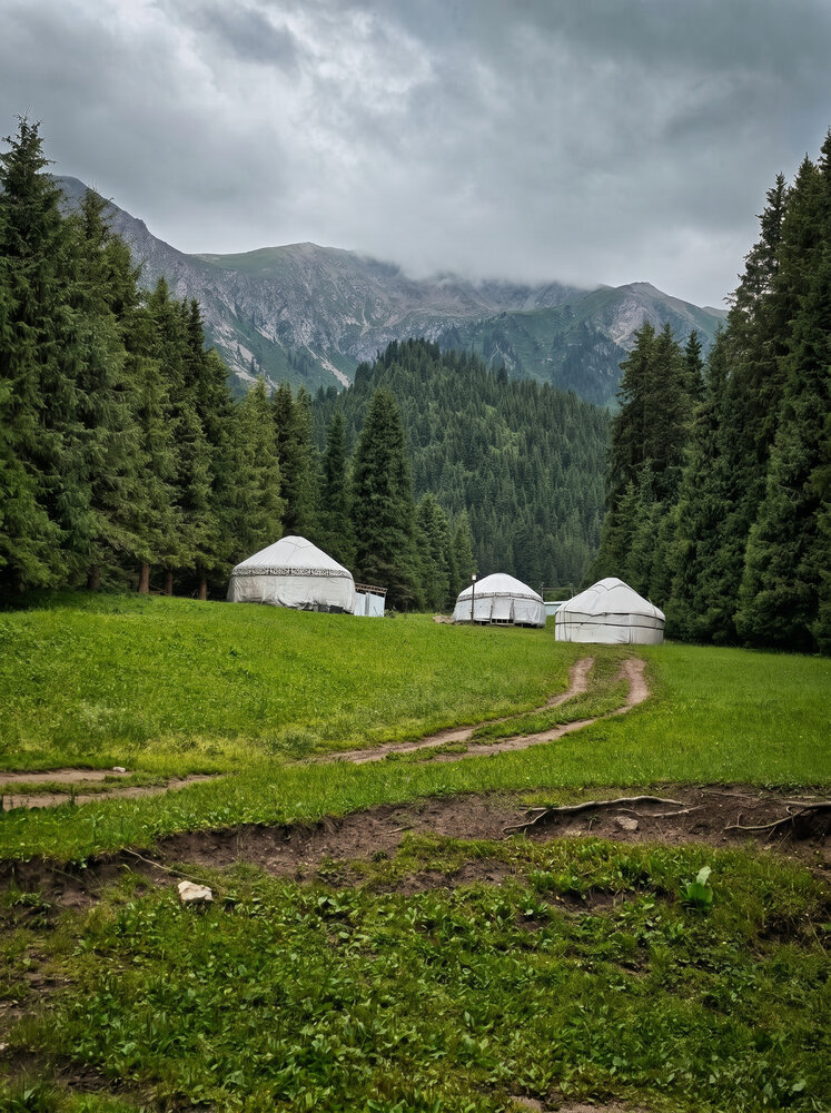 Фотография автора Наталья Фирсова