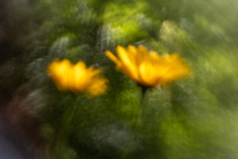 Photograph by Людмила Аксенова
