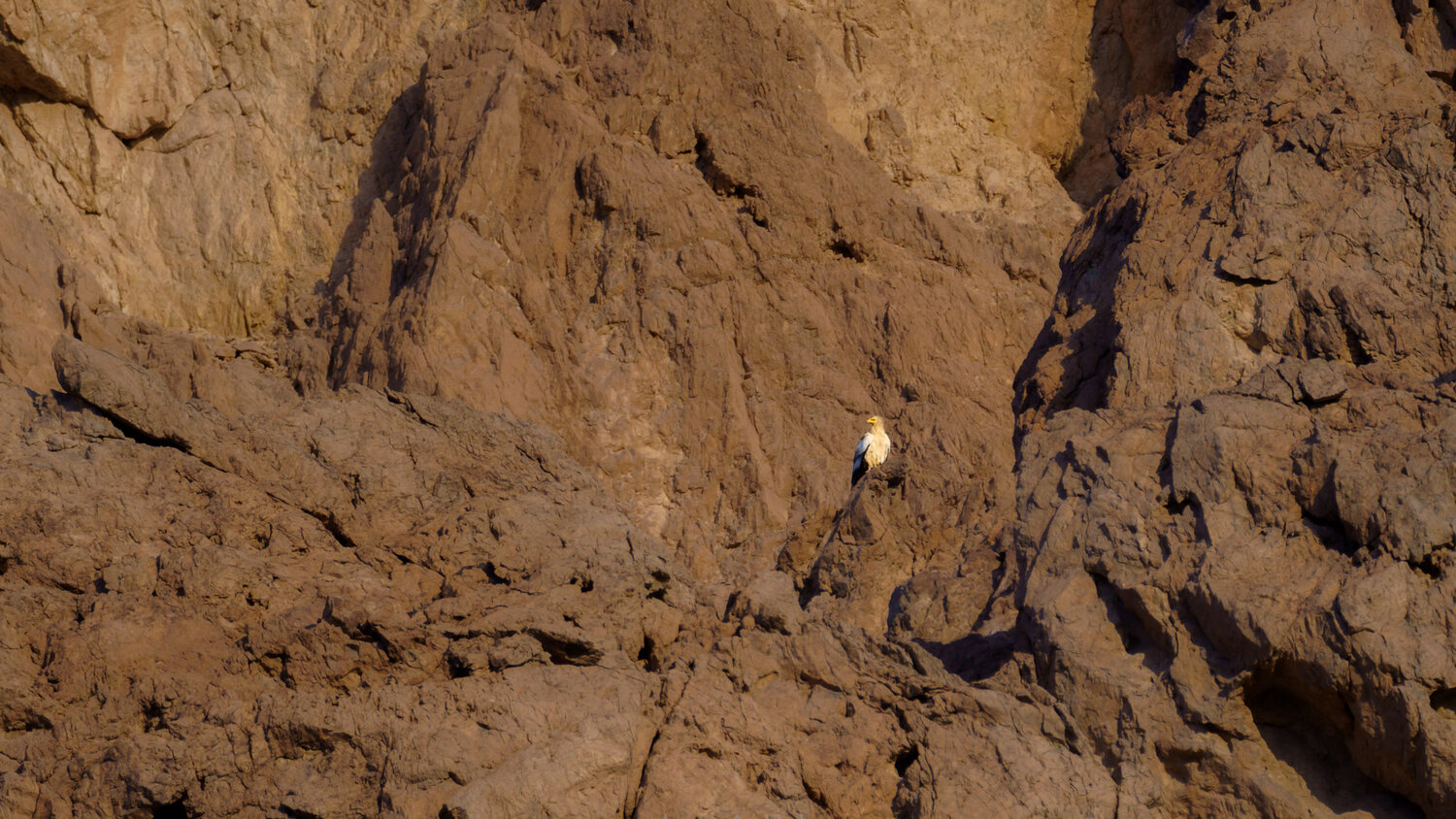 Photo #13804979