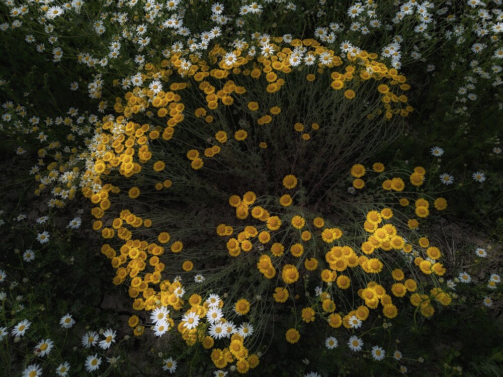 Photograph by Кондрашова Светлана