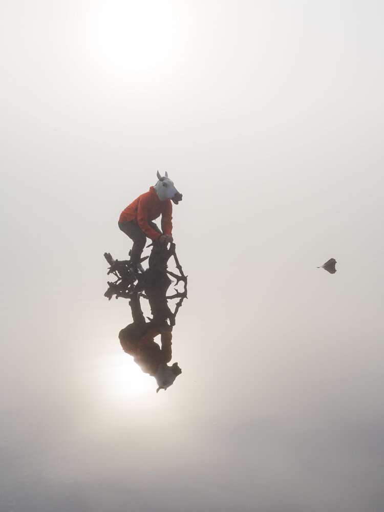 Photo #13805037