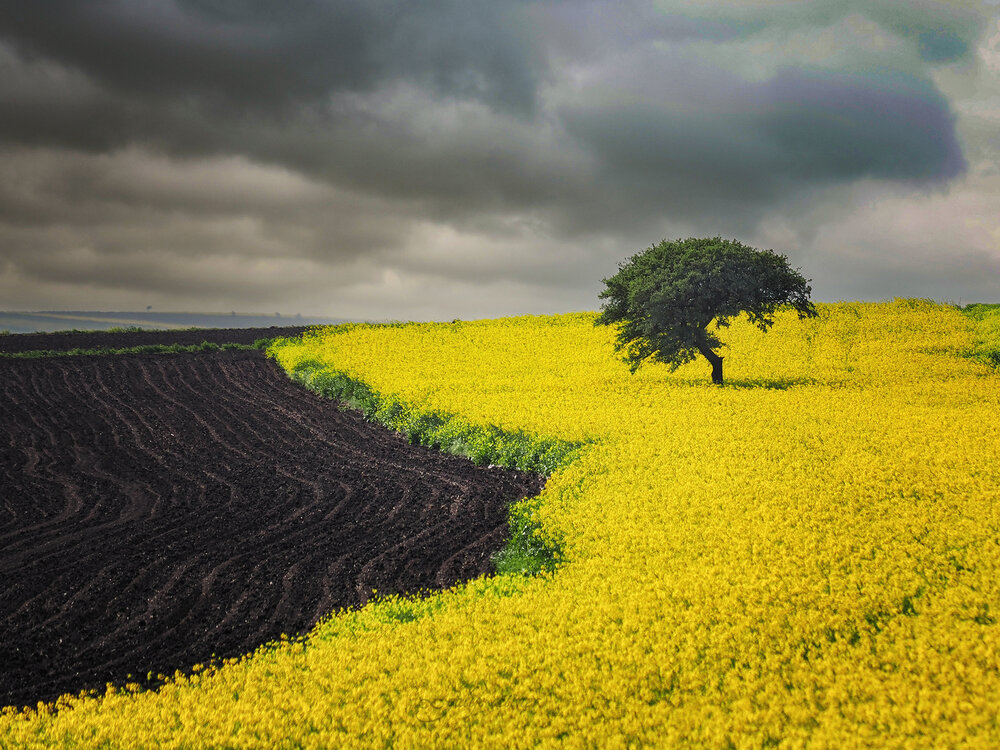 Photograph by Galip Çetiner