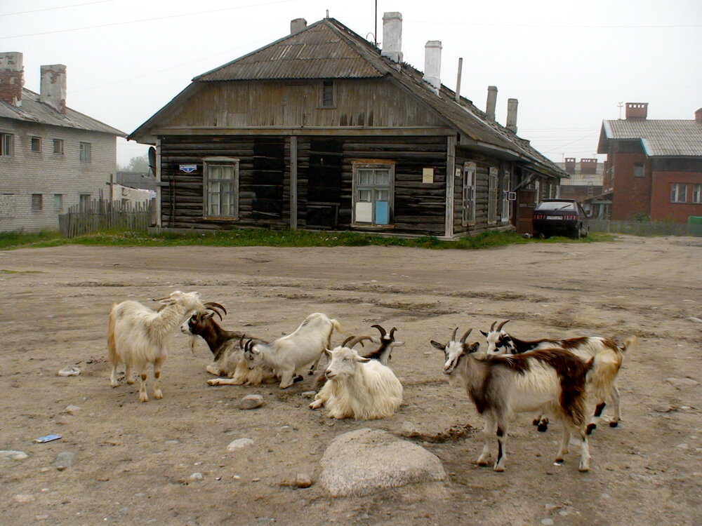 Photograph by Колесов Сергей