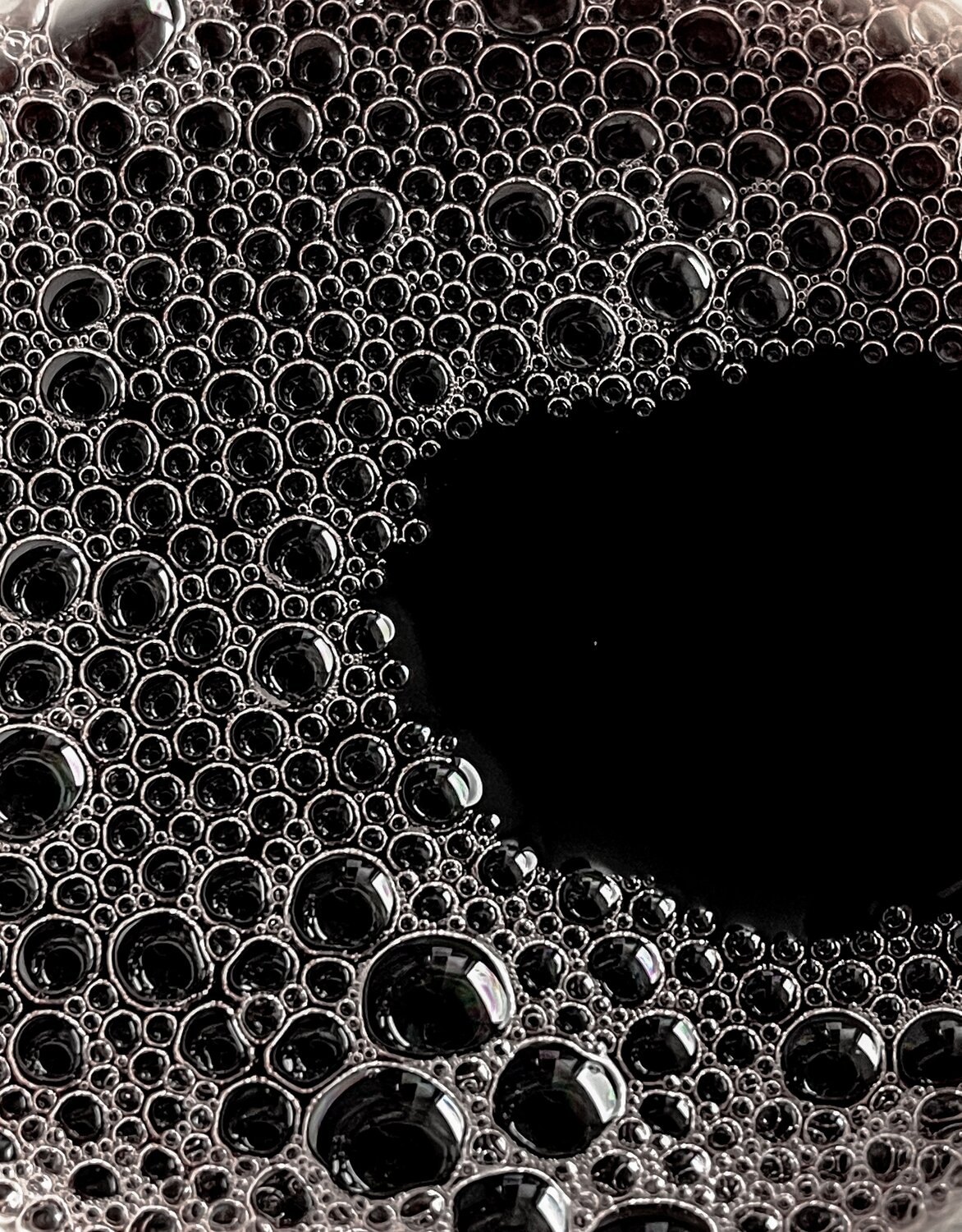 Photo #13805096