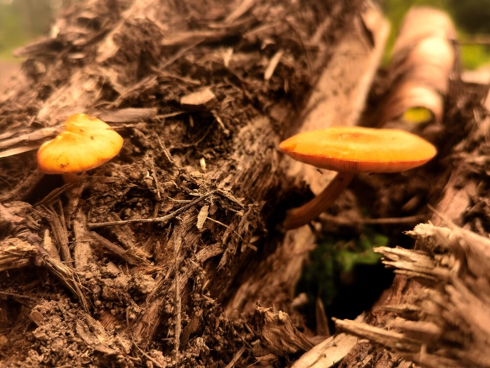 Photograph by Olga Kupriyanova
