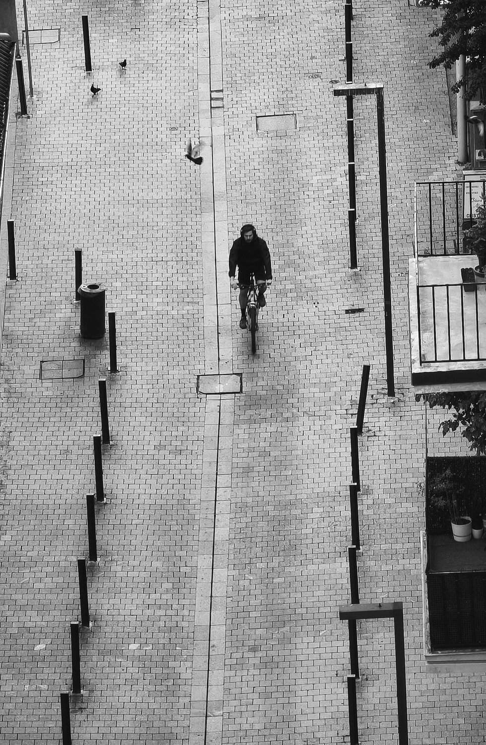 Photo #13805191