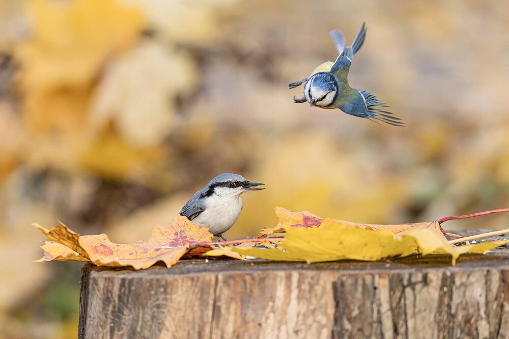 Photograph by Pl Ruslan