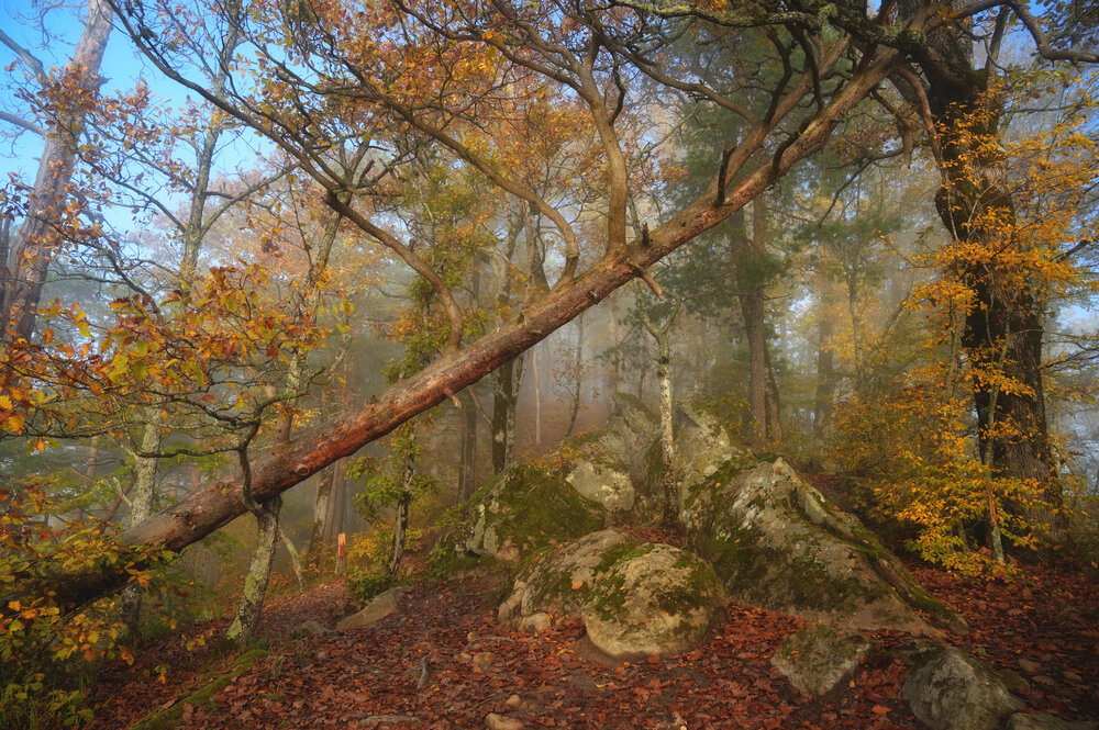 Photograph by Сергей Тихомиров