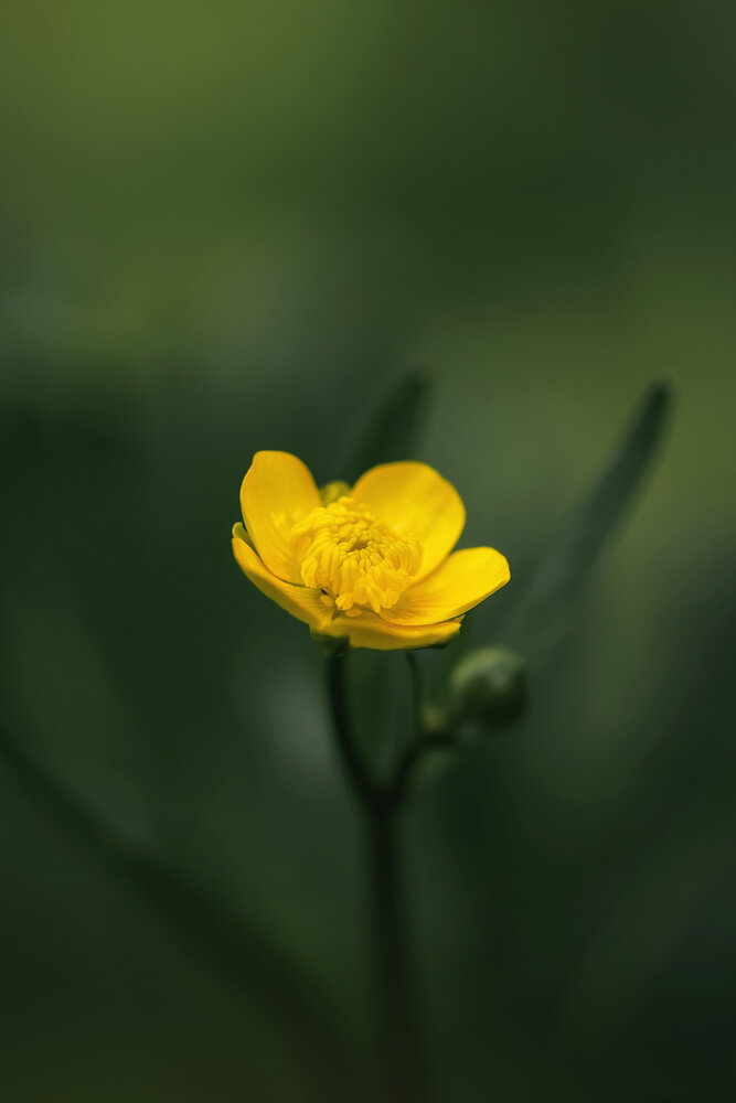 Photograph by Людмила Завьялова