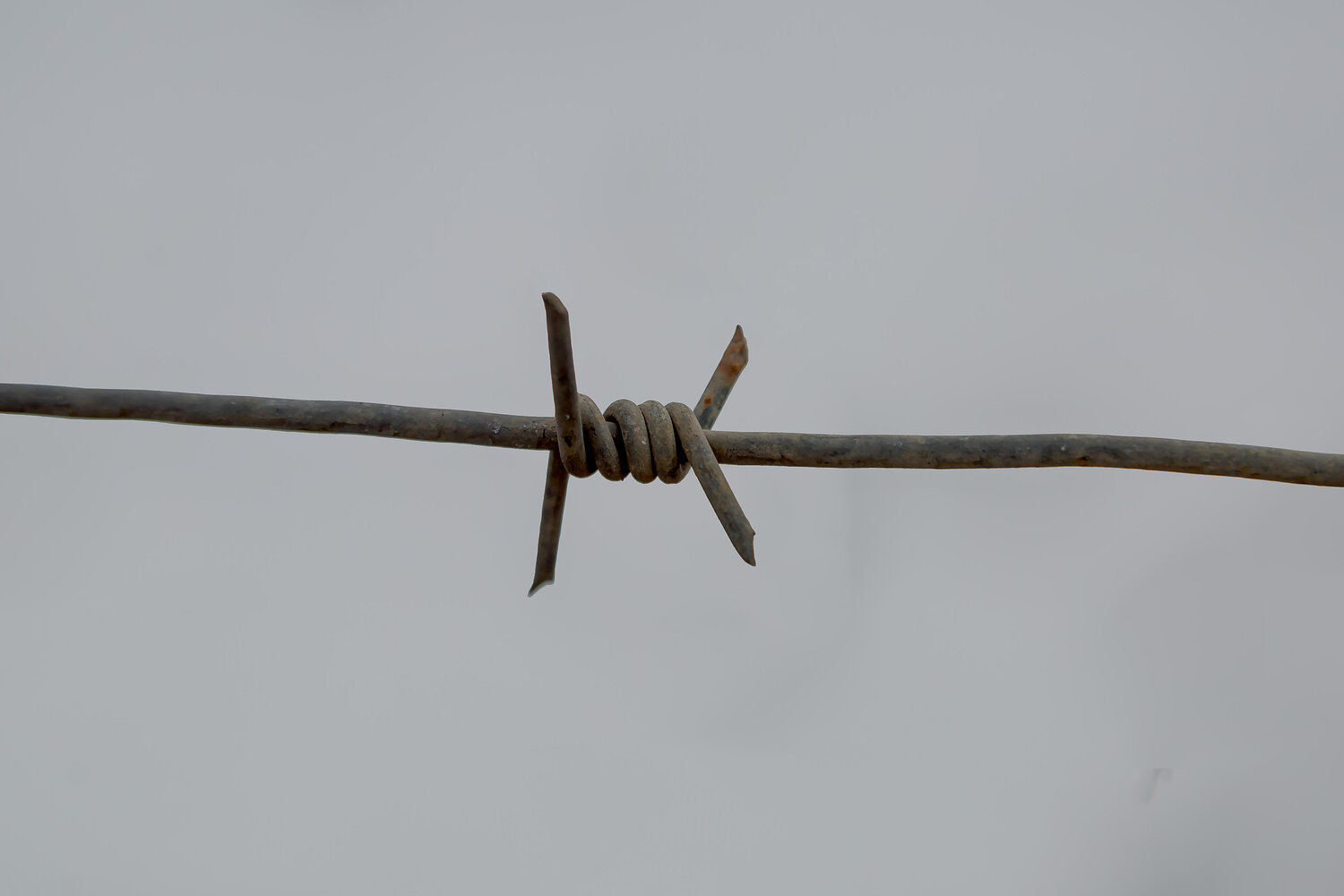 Photo #13805364